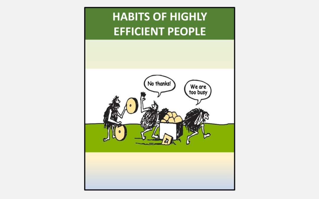 The Habits of Highly Efficient People