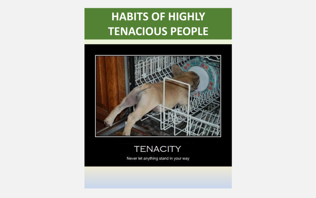 The Habits of Highly Tenacious People